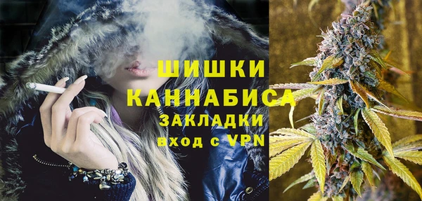 амф Верхний Тагил