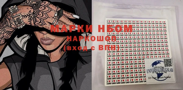 амф Верхний Тагил