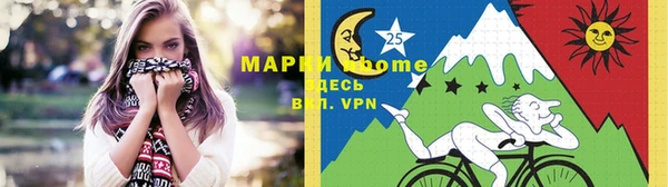 амф Верхний Тагил