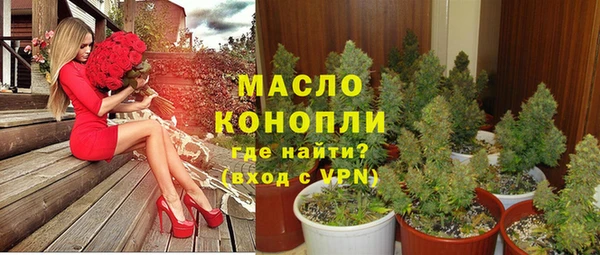 амф Верхний Тагил