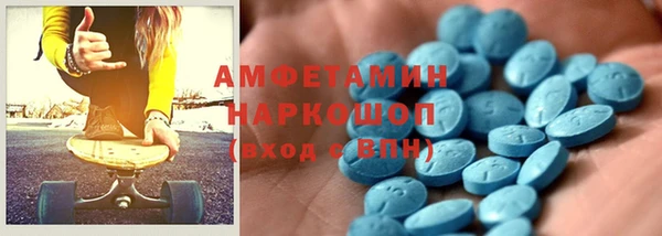 амф Верхний Тагил