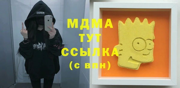амф Верхний Тагил