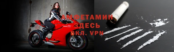 амф Верхний Тагил