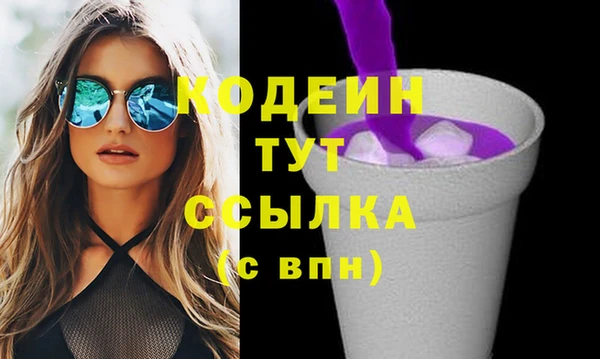 амф Верхний Тагил