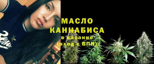 амф Верхний Тагил