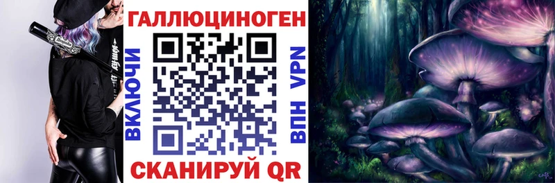 Псилоцибиновые грибы Psilocybine cubensis  Выборг 