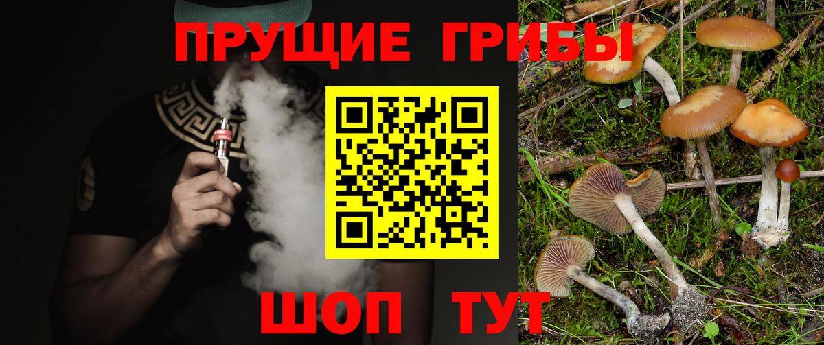 Псилоцибиновые грибы Psilocybe  Вход с VPN  Выборг 